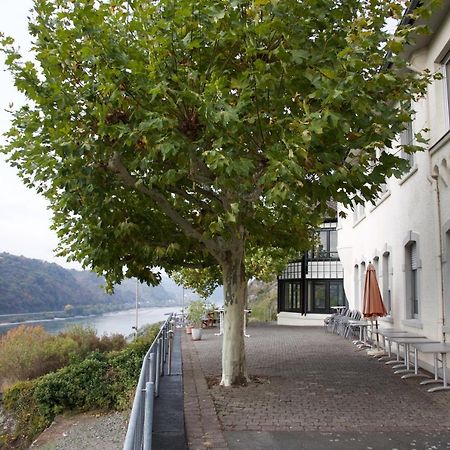 Cvjm-Elsenburg Gaestehaus Kaub Kültér fotó